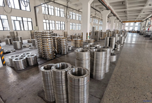 ANSI S31803 S32205 Duplex Ss Silver Stainless Steel Forging 5 Hole ប្រភេទពេញនិយម Weld Neck/Blind/Slip-on/Plate/Lap-Joint/Socket Welding Pipe Flange